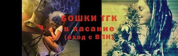 apvp Горнозаводск