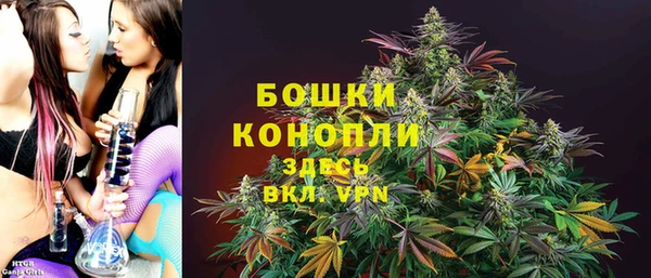apvp Горнозаводск