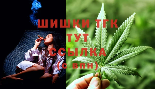 apvp Горнозаводск