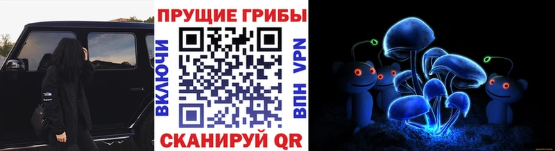 KRAKEN как зайти  сколько стоит  Железногорск  Псилоцибиновые грибы Psilocybe 